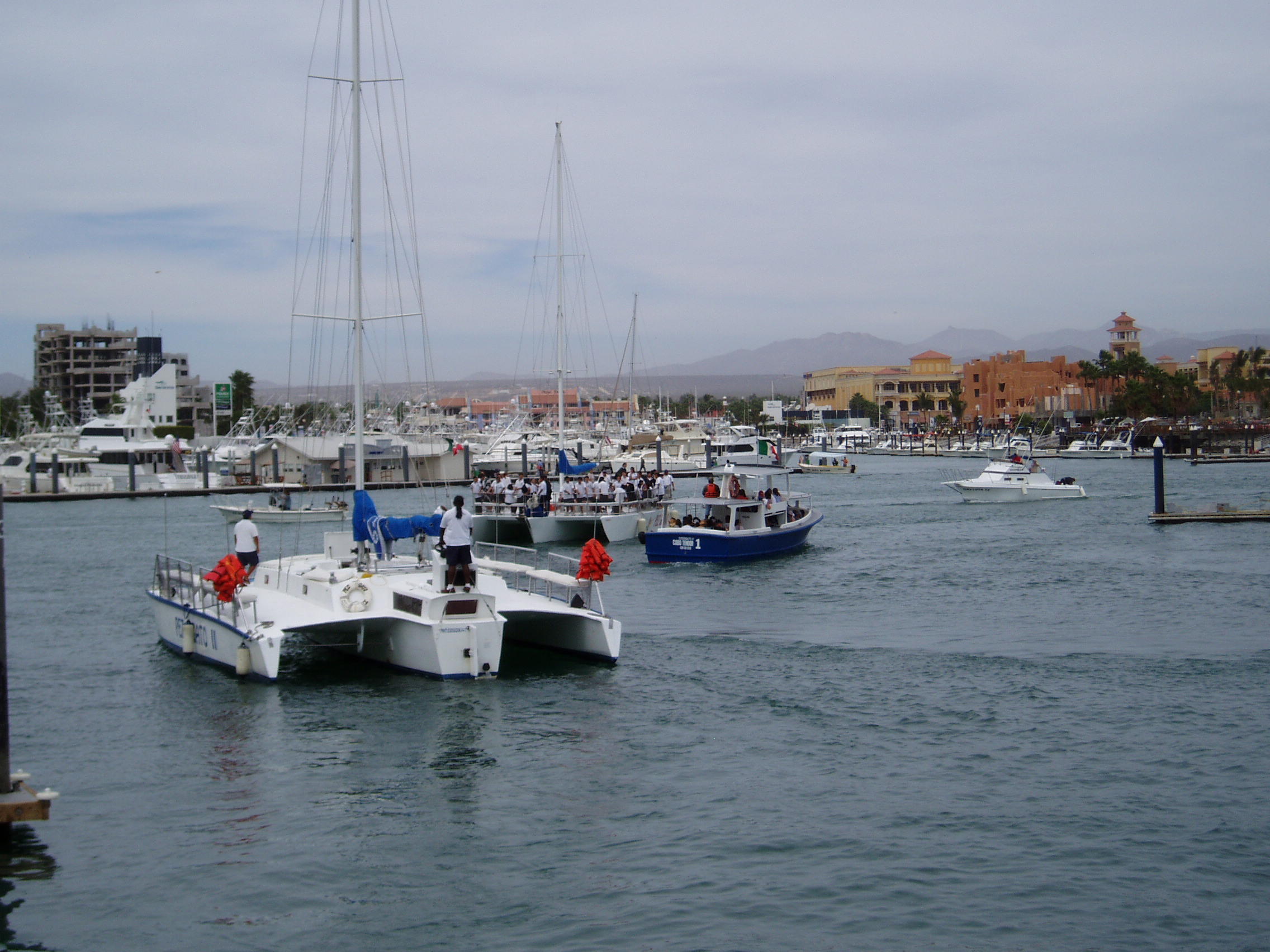 Cabo San Lucas harbor.JPG