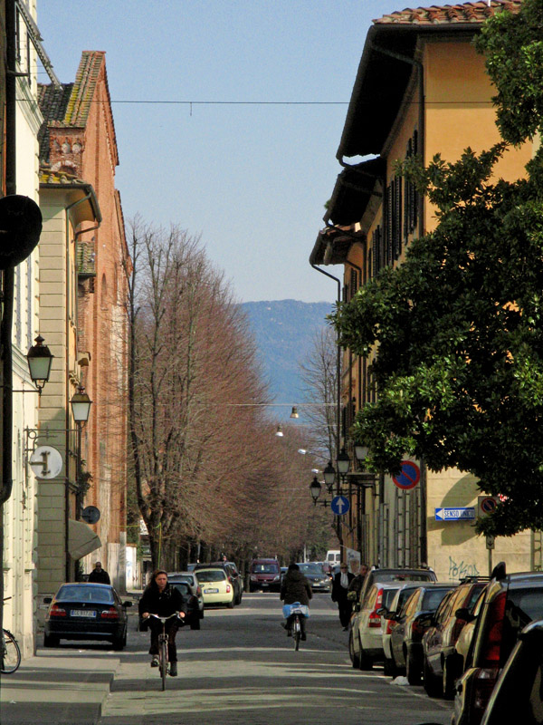 View to the East, Via San Francesco8050