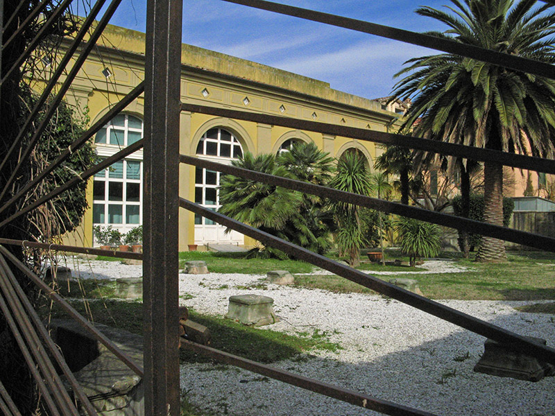 A garden on Vicolo dei Ruschi8056