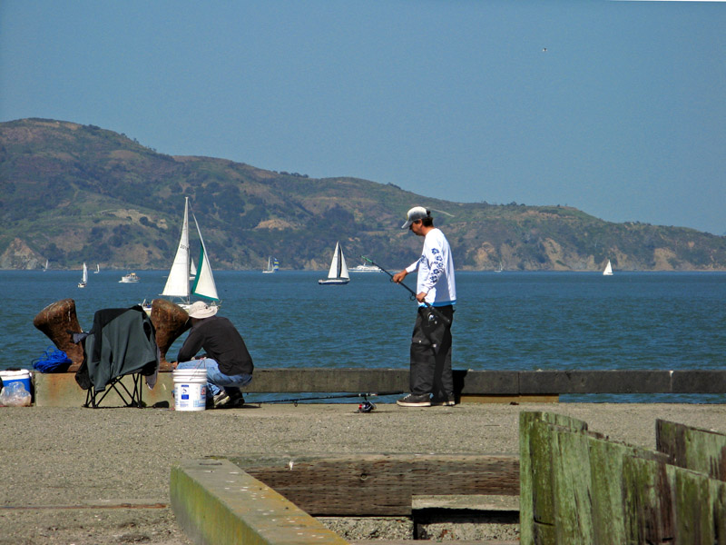 Marin in the distance0359