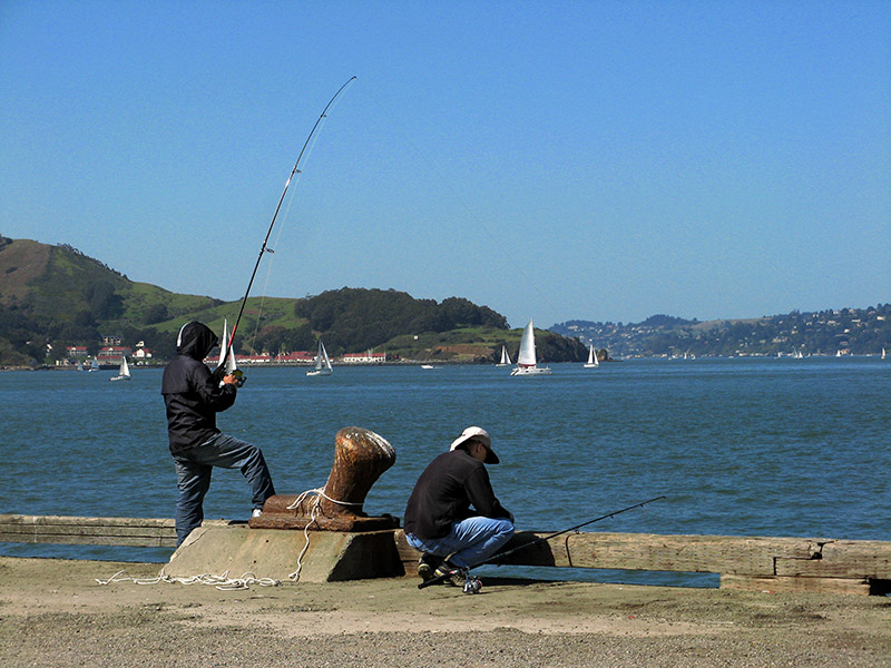 Fishing0376