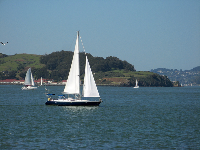 A good day for sailing0367