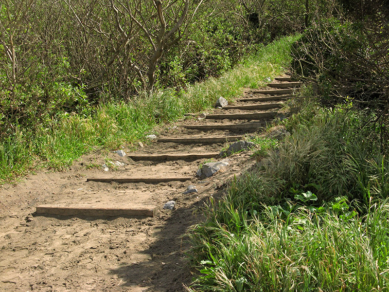 Up the stairs0459