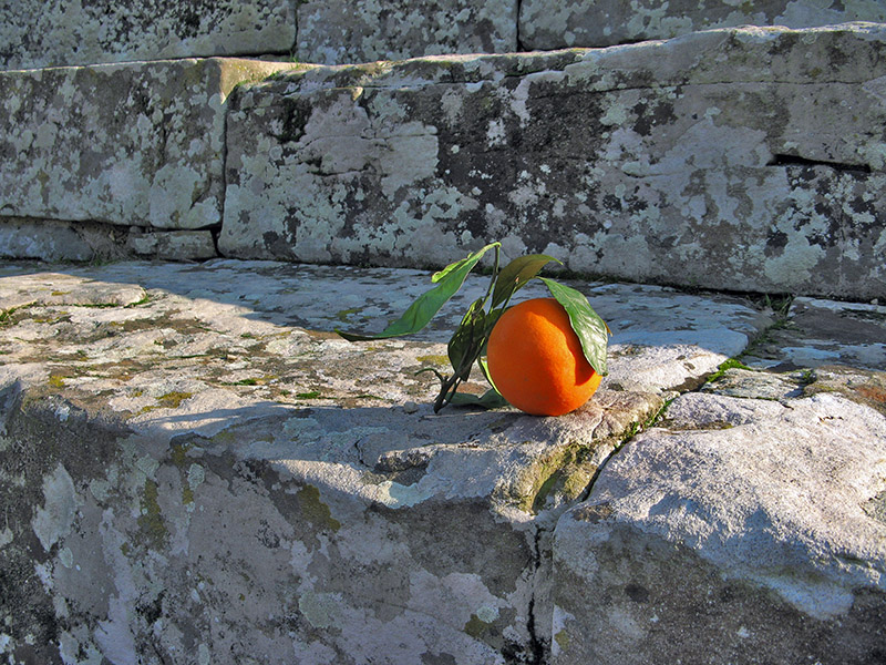 A blood orange on the theater steps8397