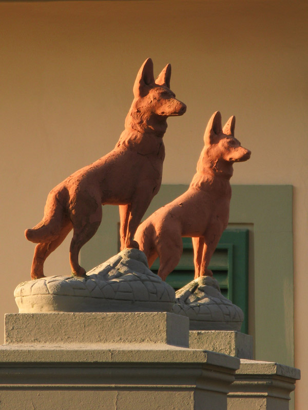 Watch dogs in terracotta8459