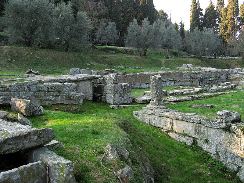 Temple ruins with olive trees8422