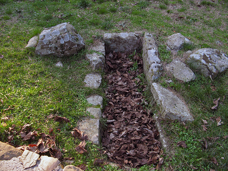 Ancient grave and oak leaves8431