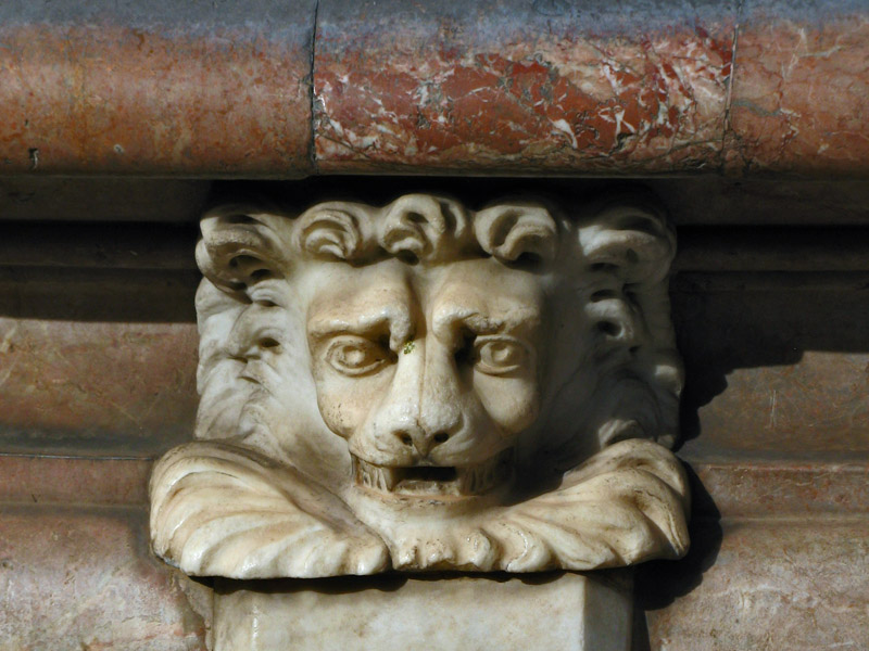 A Lion on Piazza Colonna1206