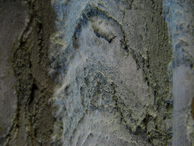 Old Stone, detailSan Nicola in Carcere0108