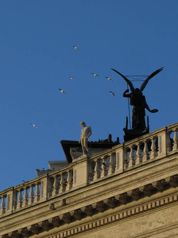 Wings on the Vittoriano0336