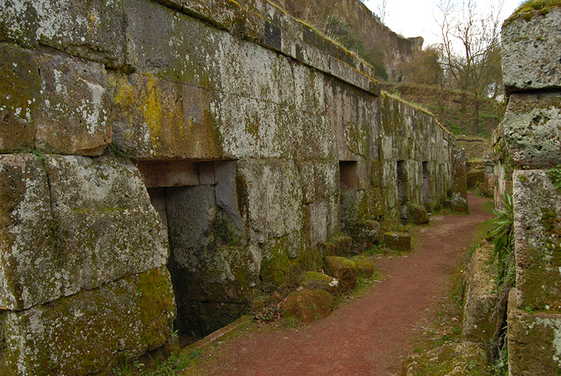 A Neat Street Lined with Tombs4391