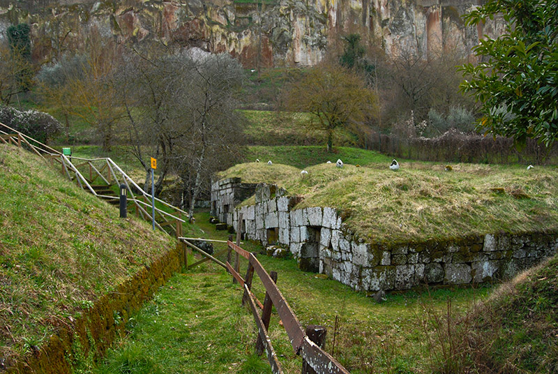 Tombs under the Grass4458