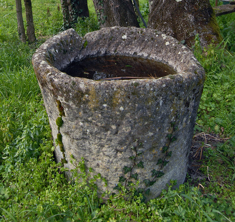 Stone Basin with Moss and Ivy4467