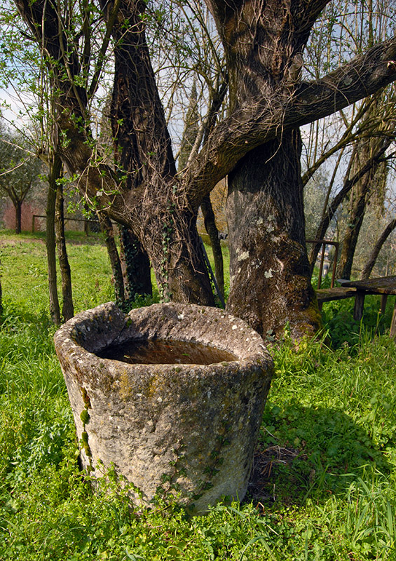 A Stone Basin4469