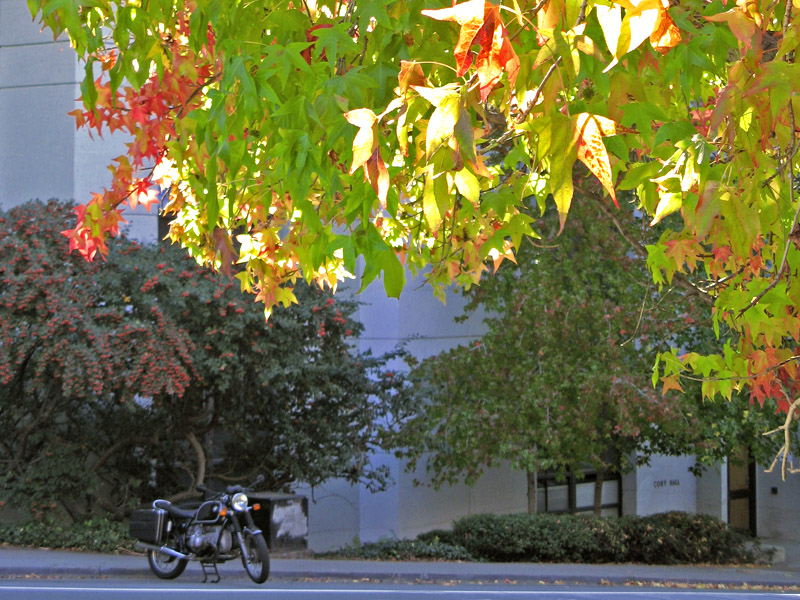 Northside, fall color and student transportation 4491
