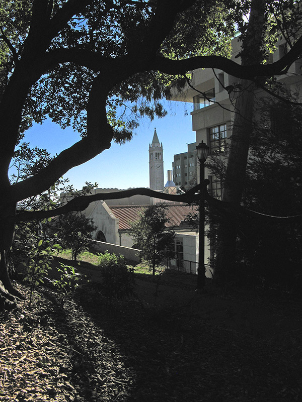 The campanile  from Founders Rock4499