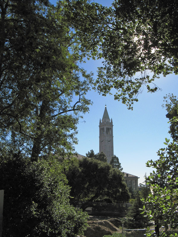 Sather Tower or  the campanile4503