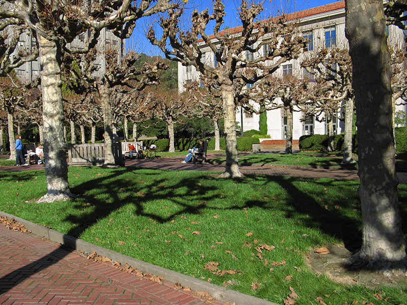 Under the Campanile4522.