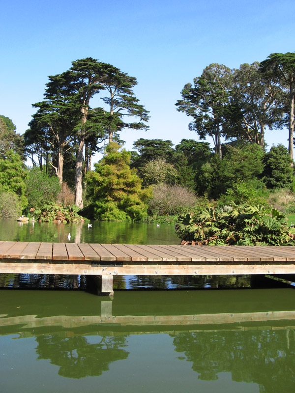 Botanical Gardens Lake4001