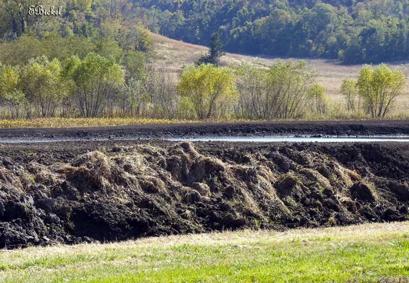 Mounds