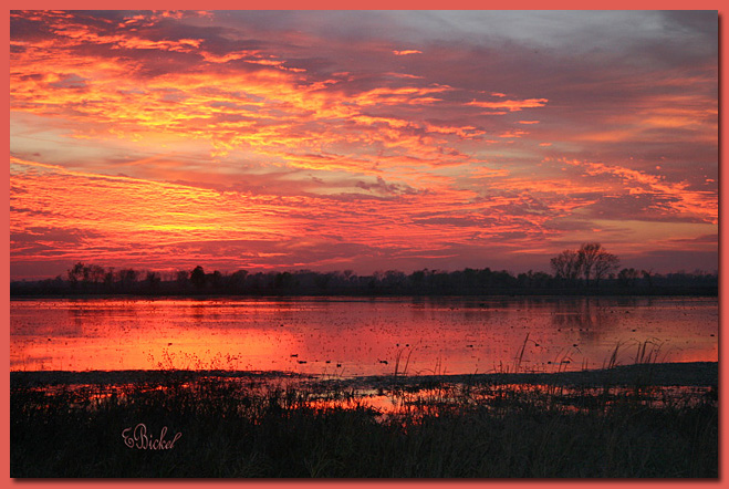 a Fall sunset on the Marsh