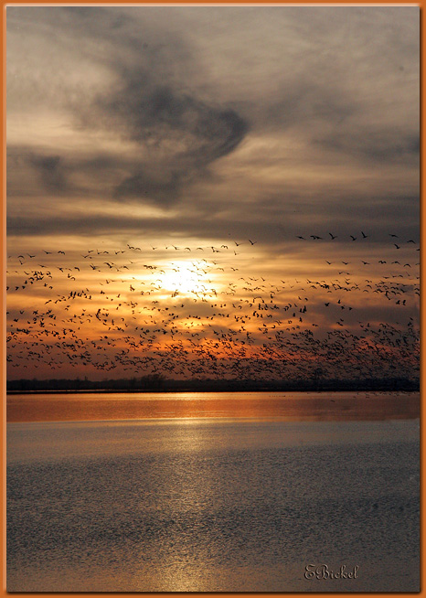 Sunset Before the Storm 2005