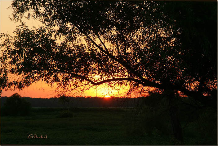 End of the Day 2006