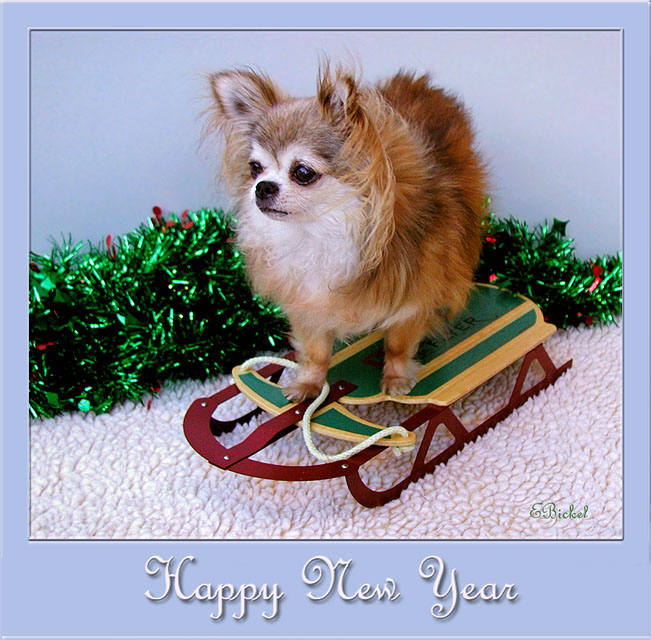 Happy 2008!!!