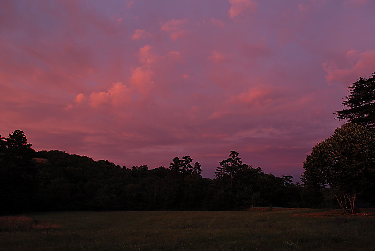 A pink sunset.