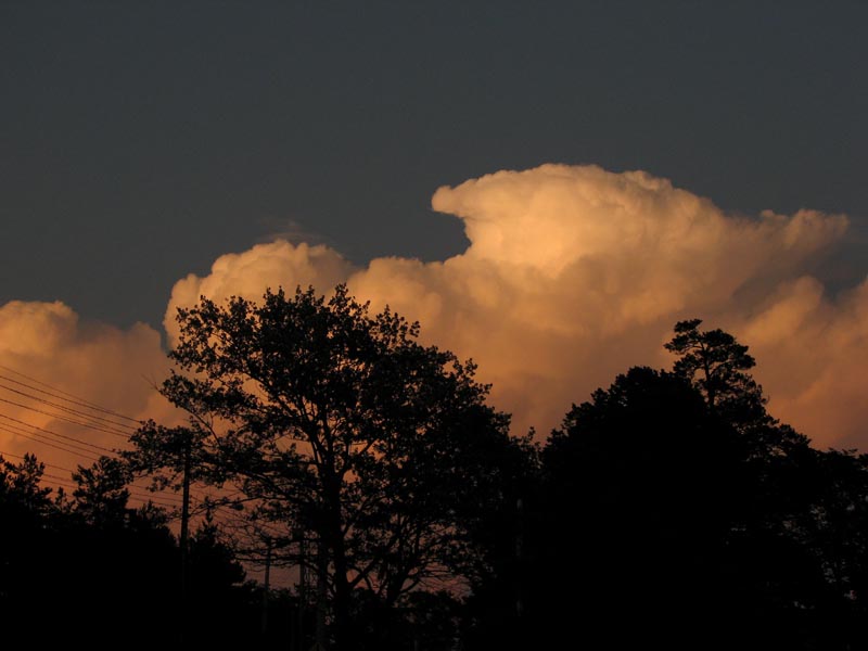 Cotton Clouds