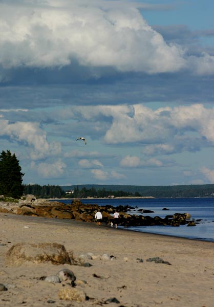 Queensland Beach