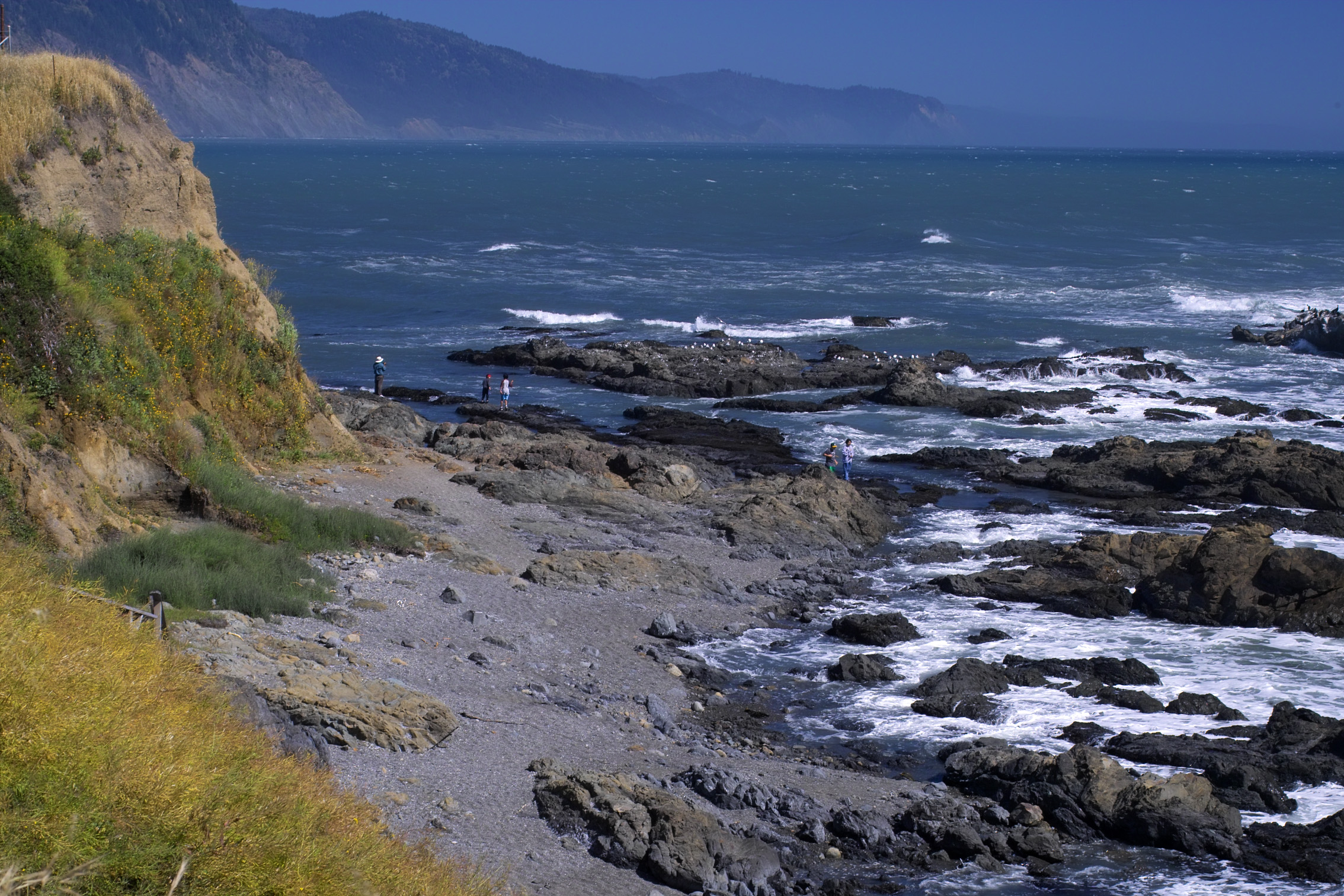 beachcombers, shelter cove