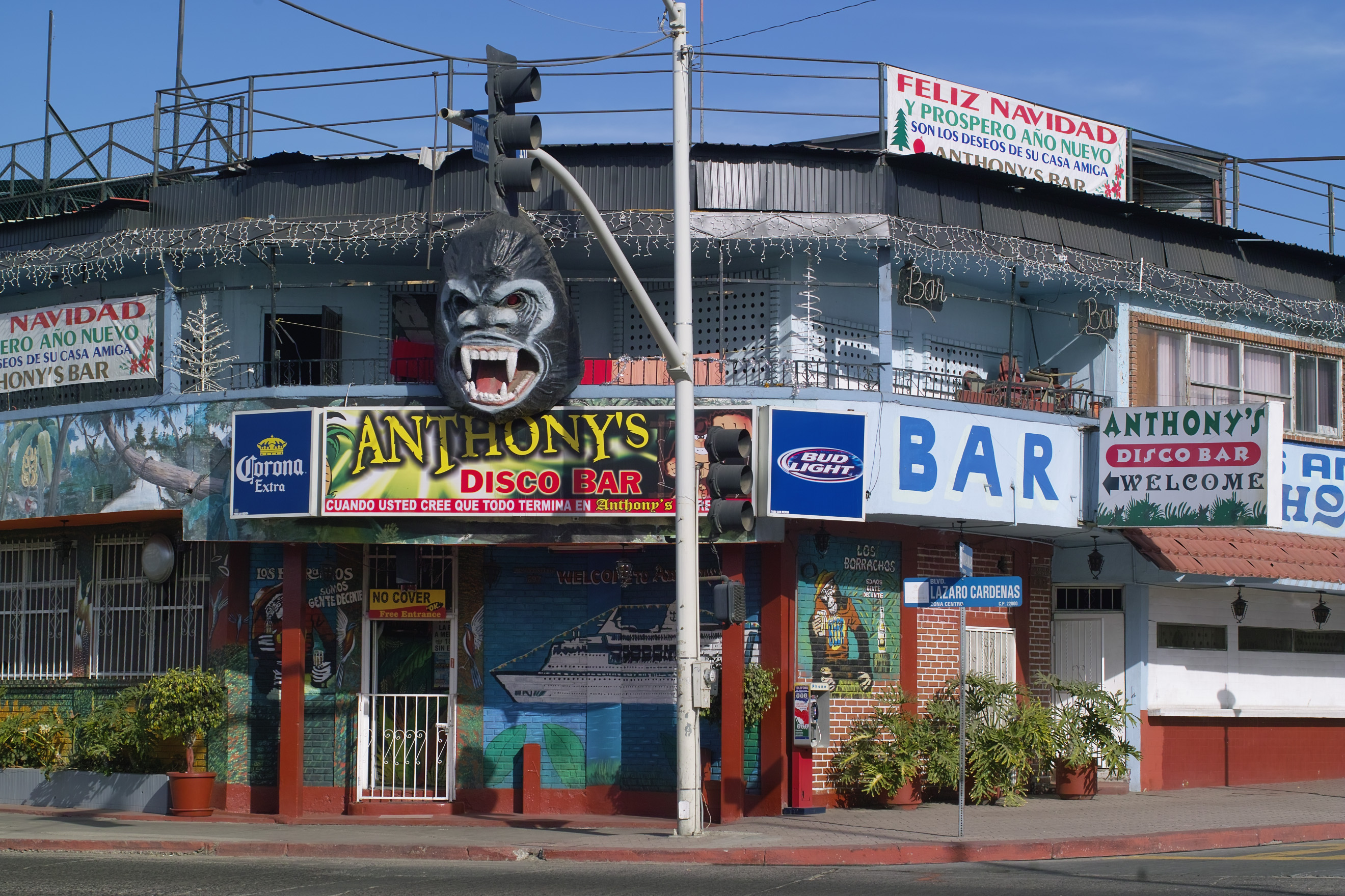 gorilla bar