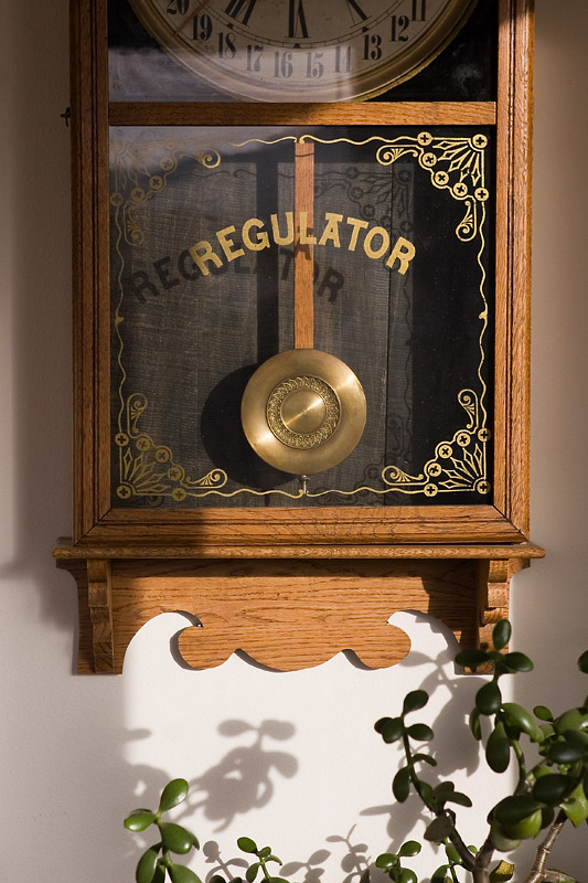 Regulator Regulator