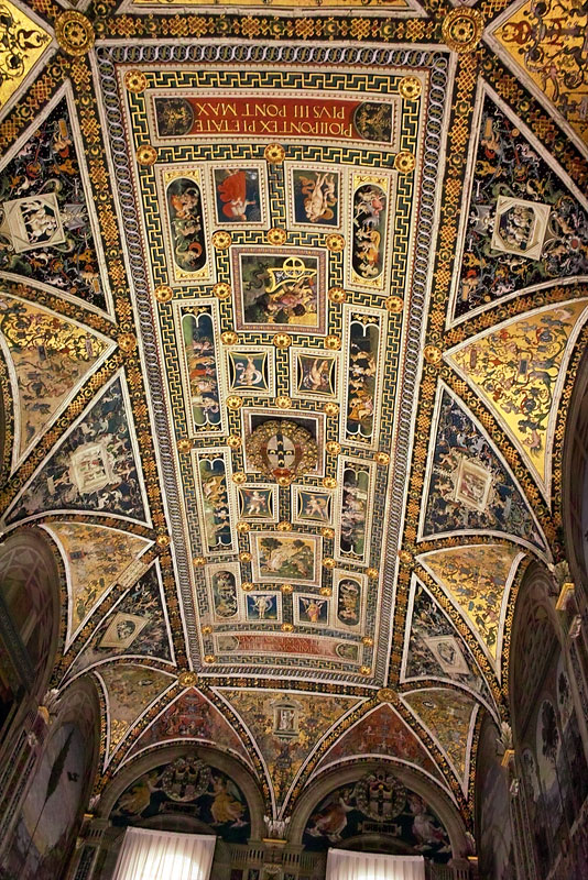 AMC_DP1_080529_4523.jpg