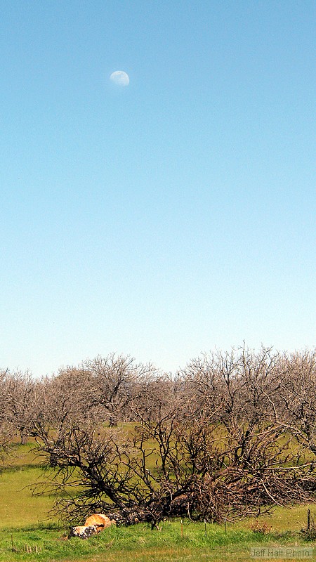 img_1007_std.jpg