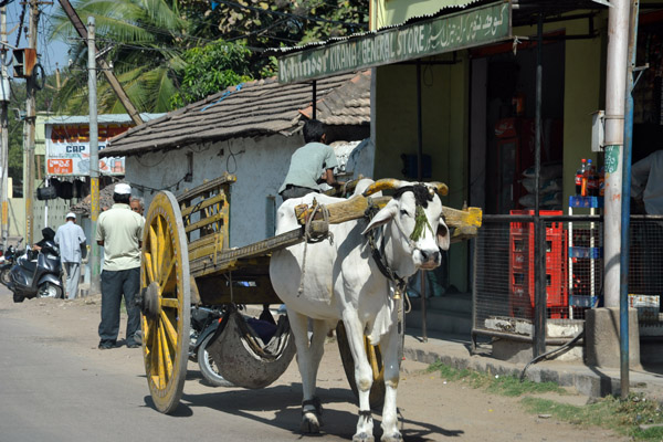 Bullock cart, Golconda