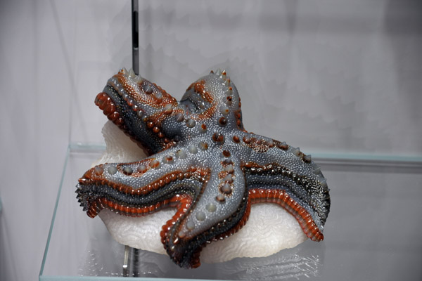 Agate Starfish, 9306 carats, Idar-Oberstein, Germany