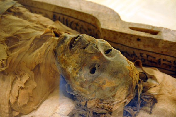 Ancient Egyptian Mummy