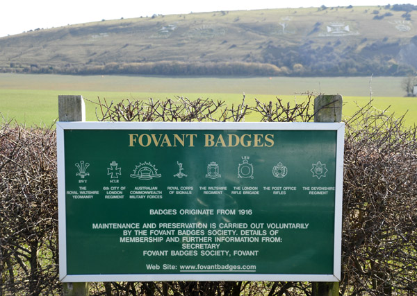 Fovant Badges of 8 various regiments on a hillside dating from 1916