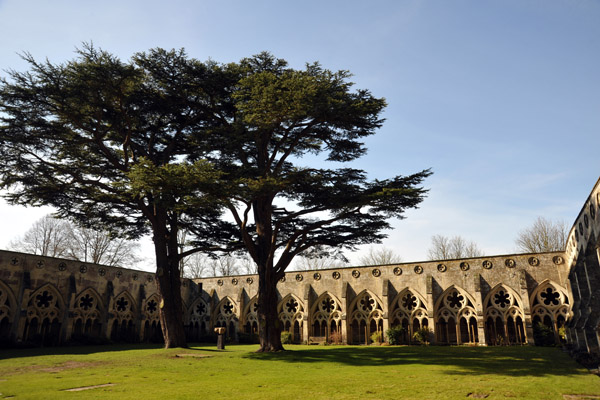 Cloister, Salisbury Cathedral