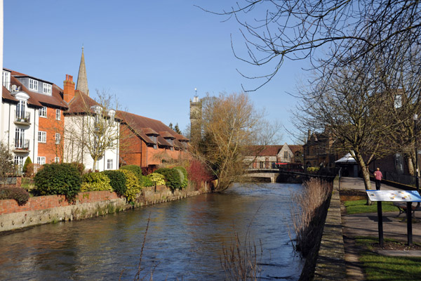 River Avon, Salisbury