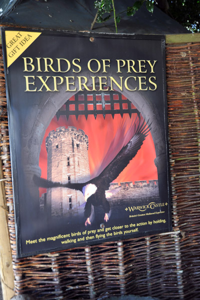 Birds of Prey, Warwick Castle