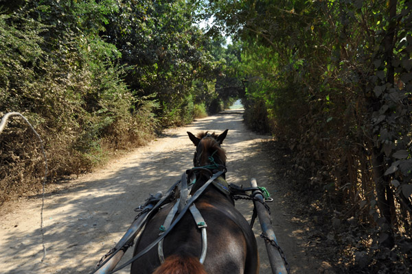 Heading for the historic ancient capital of Inwa by horse cart