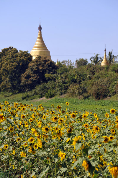 Golden stupa marking the southwest corner of the city wall, Inwa