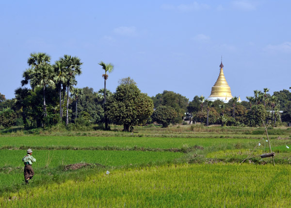 Inwa rice paddy with the stupa at the southwest corner of the ancient moat