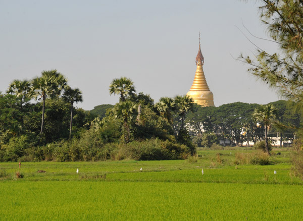 Stupa and rice paddies, Inwa