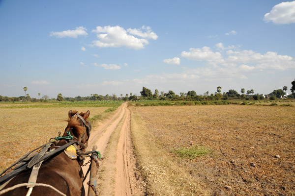 Road to the heart of the Ancient Capital of Inwa