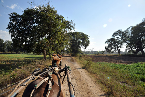 Road through Inwa back towards the ferry