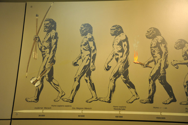 Neanderthal, Cro-Magnon and modern man